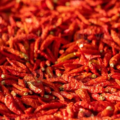 Chilli