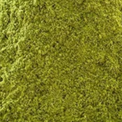 Fennel Powder