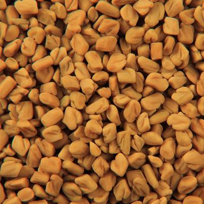 Fenugreek