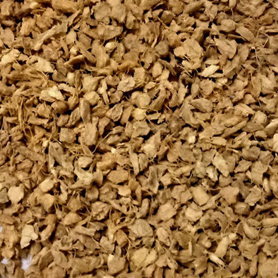 Ginger TBC
