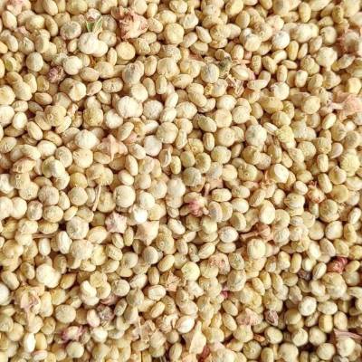 Quinoa